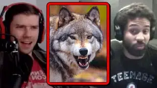 Could Arian Foster FIGHT a Wolf 1v1? | PKA