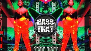 2Pac - Strictly 4 My N.I.G.G.A.Z... (Bass Boosted)