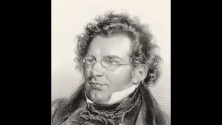 Schubert:   Impromptu op. 90 no. 2 D899.2  -  Dong-Hiek Lim, piano