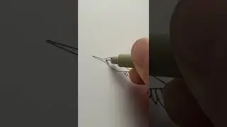 Simple way to draw a hummingbird
