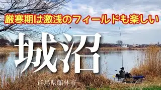 真冬に人気の城沼 超浅場を長竿で狙うと良いことあるかも