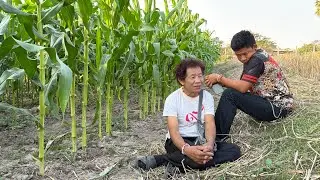 อาการ❌บักหรั่งตอนเป็นบ้า❌ถามว่า เวลาคุยกับมันมันรู้เรื่องอะไรไหม คำตอบคือ…