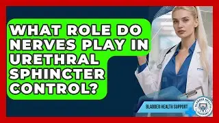 What Role Do Nerves Play In Urethral Sphincter Control? - Bladder Health Support