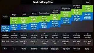 TRADERA FOREX TRADING BUSINESS OPPORTUNITY