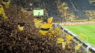 BVB – Hoffenheim | Stadion-Atmosphäre Westfalenstadion Dortmund 07.12.2025 (Fan-Aufnahmen)