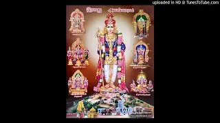 The grand orchestra Subrahmanyena Rakshitoham Shudda Dhanyasi