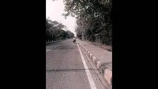 i visit IVRI campus bareilly ||  #shorts #viral #trending #trevel #ivricampus #forest  #jangal #kids