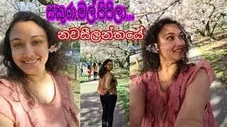 සකුරා මල් පිපිලා නවසීලන්තයේ|Cherry Blossoms in New Zealand|Srilankan Travel Girl.
