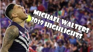 MICHAEL WALTERS 2019 HIGHLIGHTS