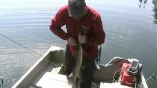Snafu Lake Yukon
