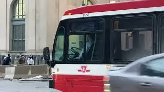TTC Buses: A Guide to Toronto Downtown Core Exploration! (March 2023)