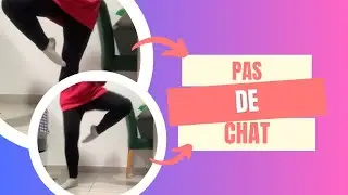 Pas de Chat *ballet iniciante*