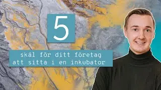 5 sk&auml;l f&ouml;r ditt f&ouml;retag att sitta i en inkubator