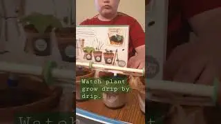 Drip irrigation system by Tinker Crate.