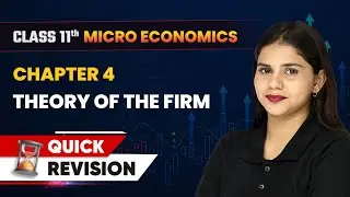 Theory of the Firm Under Perfect Competition - Quick Revision | Class 11 Economics Chapter 4 | CBSE