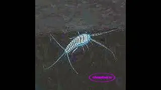 Slowburn (Audio)