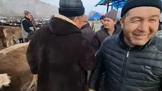 МАЛ БАЗАР. НООКАТ,АРАЛ #KYRGYZSTAN #festival 