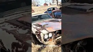 Six Pack SuperBee and Road Runner in a field.  #autoarchaeology #superbee #barnfind #roadrunner
