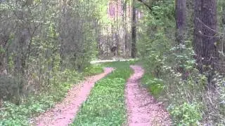20150513 133022