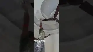 apply Putty on False Ceiling