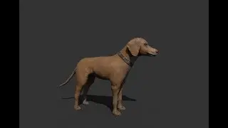 Sculpting & Texturing - Dog Zbrush- 3ds max tutorial final part