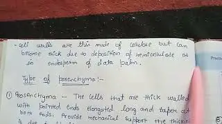 Simple& complex tissue,Parenchyma tissue &their types,prosenchyma,aerenchyma,chlorenchyma,Idioblast