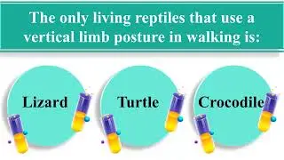 20 Animals & SCIENCE Trivia Questions and Answers