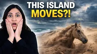 Sable Island | Graveyard of the Atlantic, Wild Horses & Hidden Ecosystem | Nature Mystery
