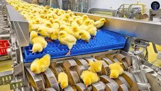 Most Satisfying Factory Machines and Ingenious Tools &ndash; The Future of Automation