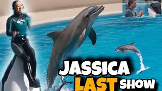 Jessica and Dolphin Last show || Jessica Radcliffe Orca Attack|| Dolphin show with Jessica 