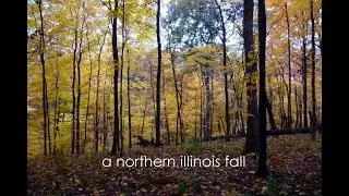 A Northern Illinois Fall - 2020 Rerelease