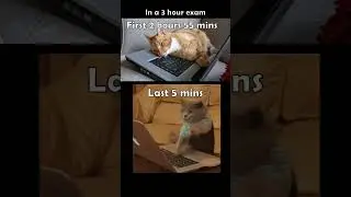 Exam Stress 😂 School memes 😂 funny cat memes #shorts #memes
