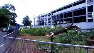 Needless Destruction