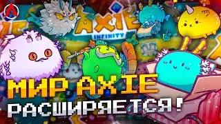 Программа Builders в Axie Infinity! // NFT от Джонни Деппа//  CyBall Reborn уже доступна!