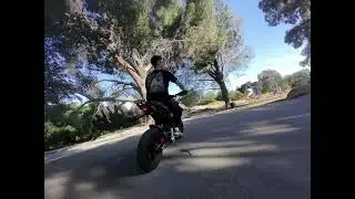 NewBeeDrone Acrobee75 Pusher 04 vs Honda Grom