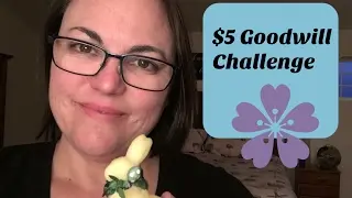 $5 GOODWILL CHALLENGE... SPRING 2017