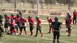 dyfl  falcons