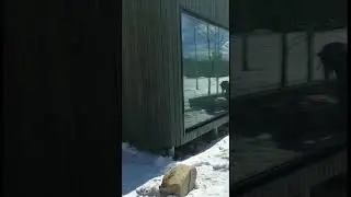 Остекление павильона в Мещерском парке