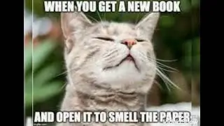 Funny meme / Cute animal's expressions🐱🦝🐶🦉