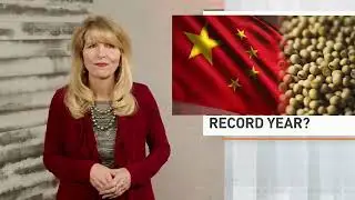 China Set to Resume Brazilian Beef Imports as Beijing Population Declines