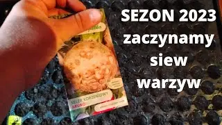 Jak i kiedy siać seler?