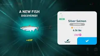 creatures of the deep - silver salmon