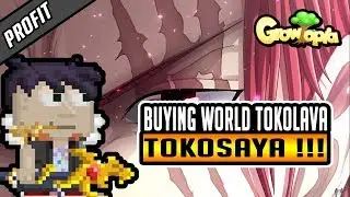 BUYING WORLD TOKO LAVA 