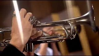 Frevo pra Fran - Chicago Street Orchestra (Michael Pipoquinha Cover)