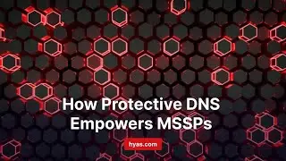 How Protective DNS Empowers MSSPs