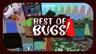 The Funniest Minecraft Bugs! (Alpha to 1.14)