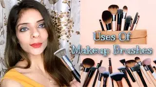 Uses of Makeup brushes by Professional MUA Minali Arora/ Recommended Makeup Brushes