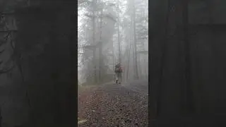 Fog in landscape photography #Oregon #pnw #shorts #photographyshorts