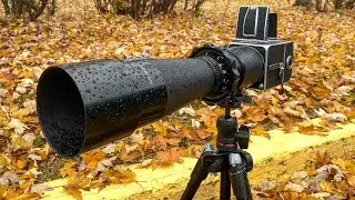 Say Hello to my Little Friend: Hasselblad Tele-Tessar 500mm f8
