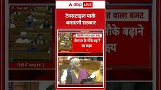 Union Budget 2026: टेक्सटाइल पार्क बनाएगी सरकार |ABPLIVE